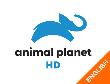 Animal Planet HD English